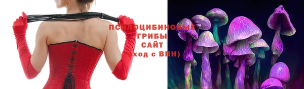 МДПВ Аркадак