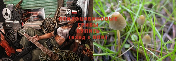 МДПВ Аркадак
